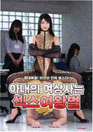 城市漫游者剧集封面